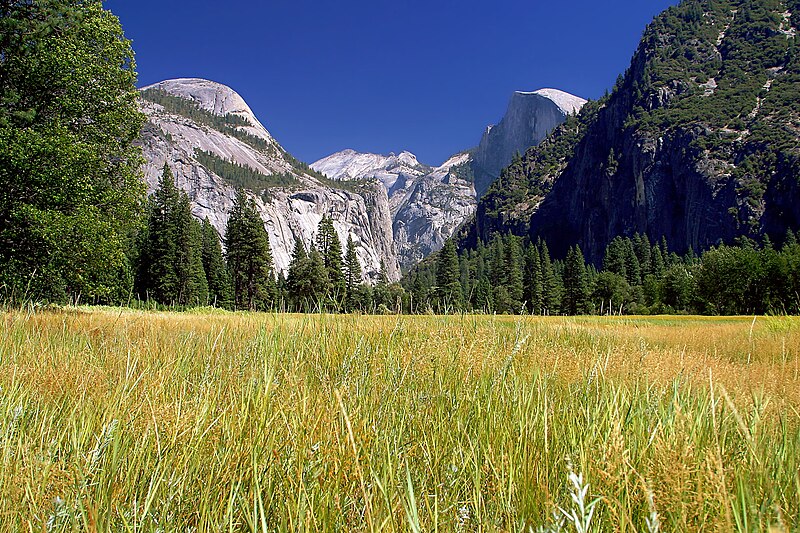 File:Yosemite meadows 2004-09-04.jpg