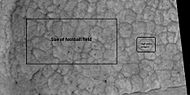 Primer plano de los polígonos del centro alto vistos por HiRISE en el programa HiWish Nota: el recuadro negro es del tamaño de un campo de fútbol.