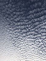 Altocumulus mackerel sky clouds over Burlington, Canada.