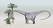 Miniatura para Barosaurus lentus