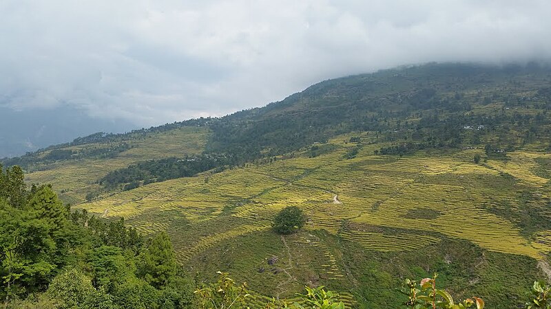 File:Baseri Dhading.jpg