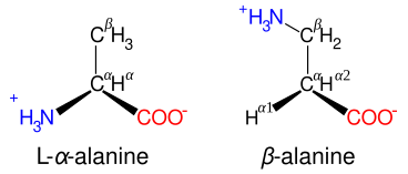 Diagrammatic comparison of the structures of β-alanine and α-alanine