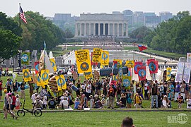 Demonstrators in Washington, DC