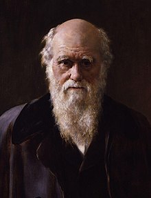 Portrait of Charles Darwin