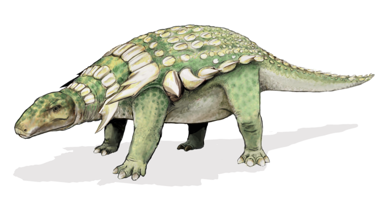 Archivo:Edmontonia dinosaur.png