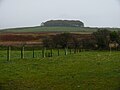 Glasnick Smithy Croft. View from near the croft along the line of the old military road towards Cairn Wood centre of photo and Barskeoch Farm on right.