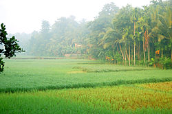 Kodiyathoor