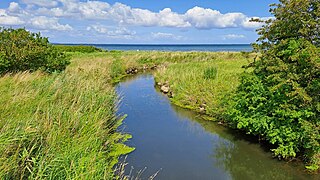 The Lippingau flowing towards the Baltic