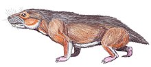 Microgomphodon.jpg