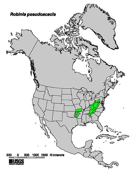 Файл:Robinia pseudoacacia range map.jpg