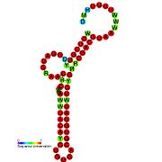 TLS-PK5: Secondary structure taken from the Rfam database. Family RF01088. Derived from Pseudobase PKB00143