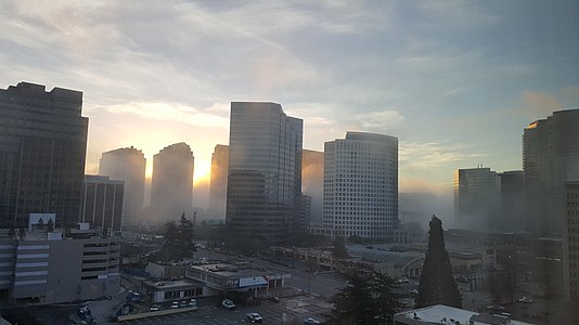 Mist at dawn in Bellevue, 2016