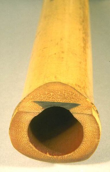 File:JapaneseShakuhachiSection.jpg