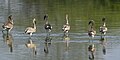 Juveniles, Jamnagar, India