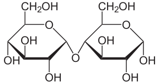 File:Maltose Haworth.svg