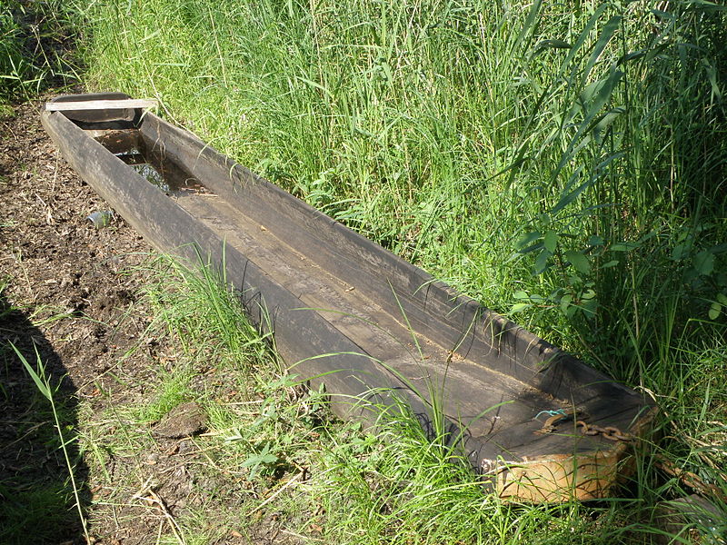 Файл:Meshchera traditional boat.JPG