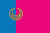 Flag of Nikopol Raion