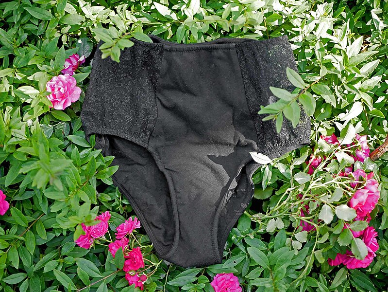 File:Period panties in nature.jpg