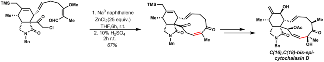 E. Vedejs total synthesis of C(16),C(18)-bis-epi-cytochalasin D uses a late stage Reformatsky reaction to access the natural product