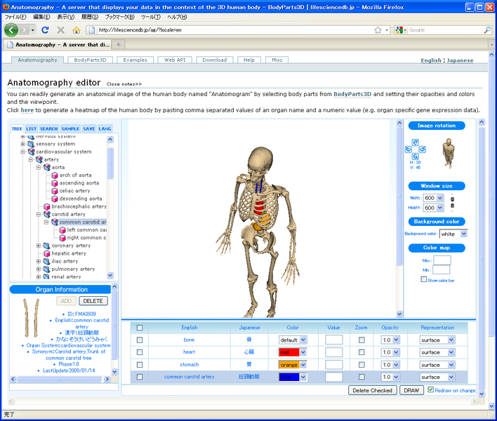 File:Screenshot Anatomography en.png