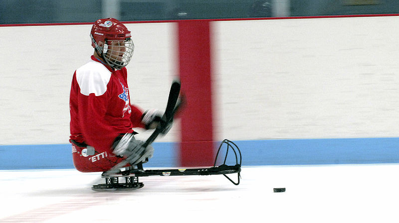 File:Sledge hockey player.jpg