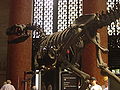 The Allosaurus Skeleton in the Roosevelt Rotunda