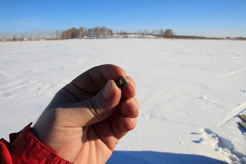 File:Chebarkul meteorite sample.jpg