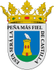 Coat of arms of Peñafiel, Spain