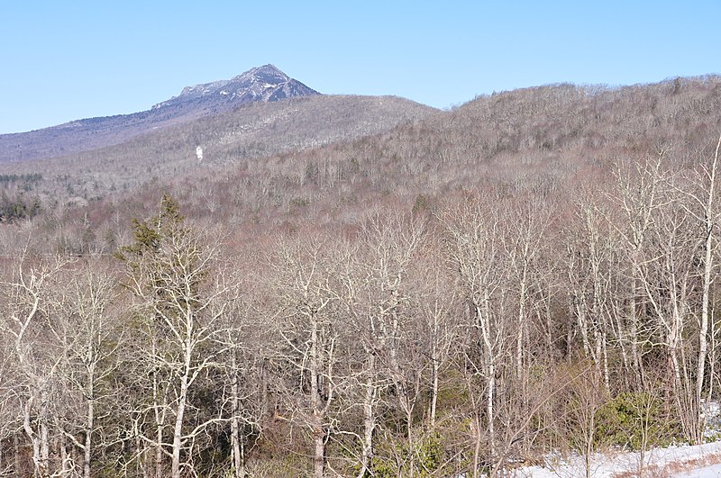 File:Grandfather and Pixie Mountains.jpg