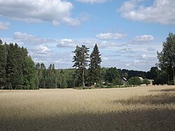 Farmstead in Käbli