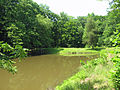 Lake 3 in Prince William Forest Park