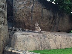 Monkey picking lice off other monkey at Mahabalipuram.