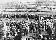 Crowd watches Pharlap win the Melbourne Cup in Australia, 1930.