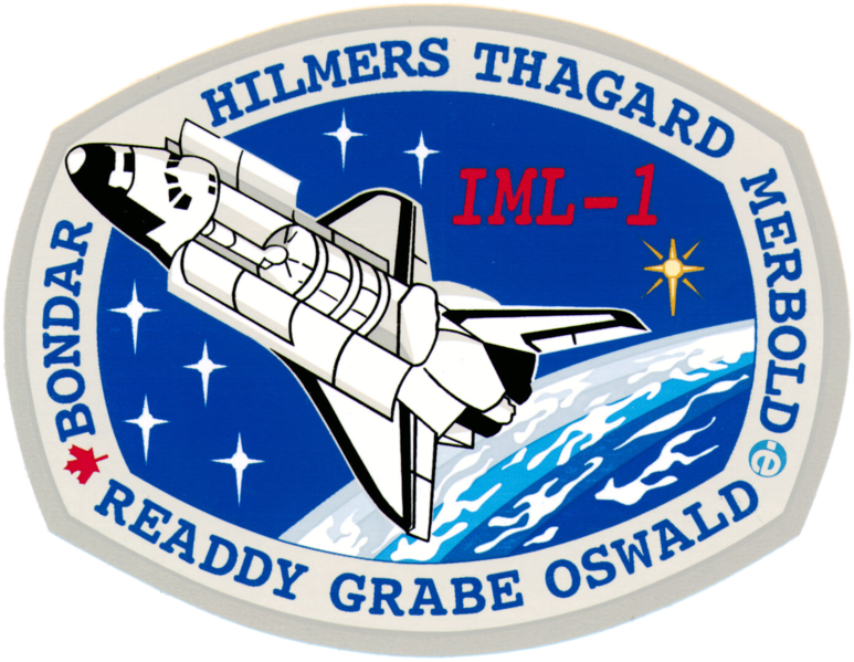 Archivo:Sts-42-patch.png