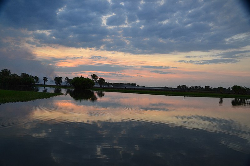 File:Yellow Water Billabong.JPG