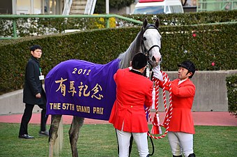 2012年冠軍「黃金船」