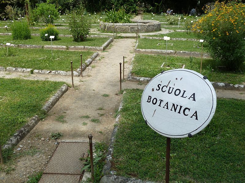 File:BotanicGardensPisa (12).JPG