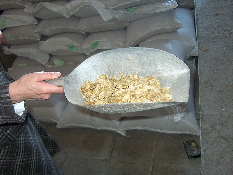 File:Crushed hop.jpg