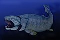 Dunkleosteus was a 10 m (33 ft) long toothless armored predatory Devonian placoderm fish.