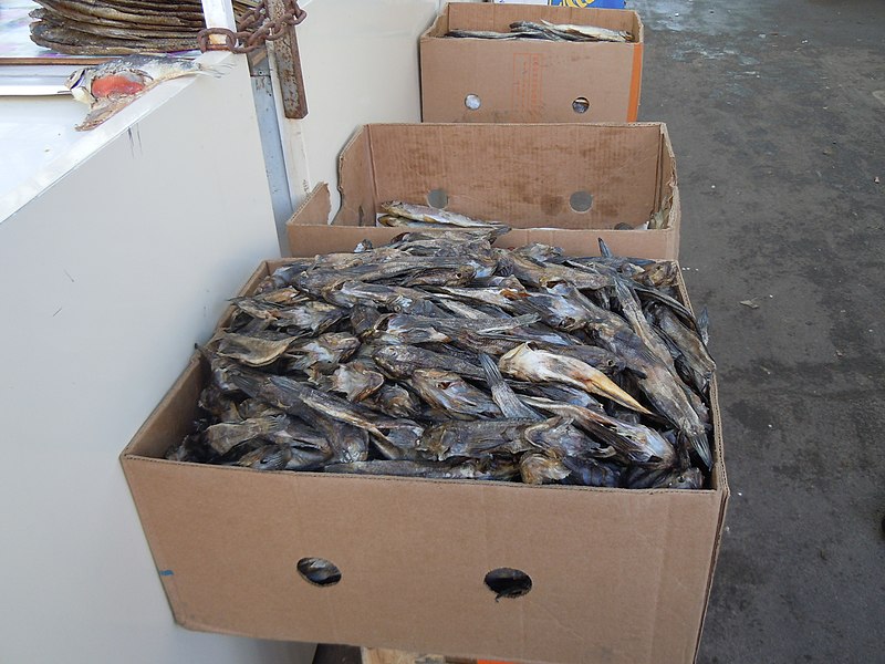 File:Gobies for sale.jpg