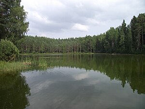 Озеро Песуярв в озёрной системе Йыуга