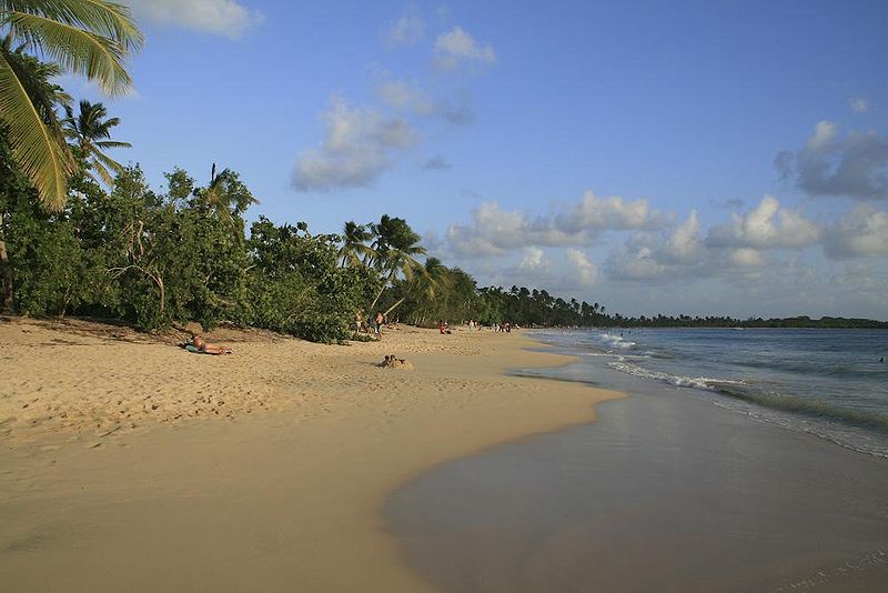 File:Martinique-11-Les Salines Beach.jpg