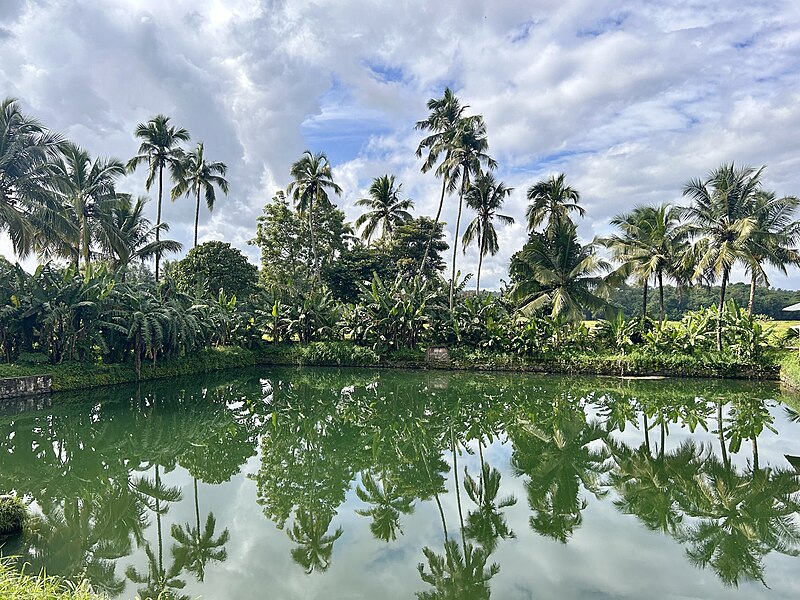 File:Muthuthala Temple Lake (2024).jpg