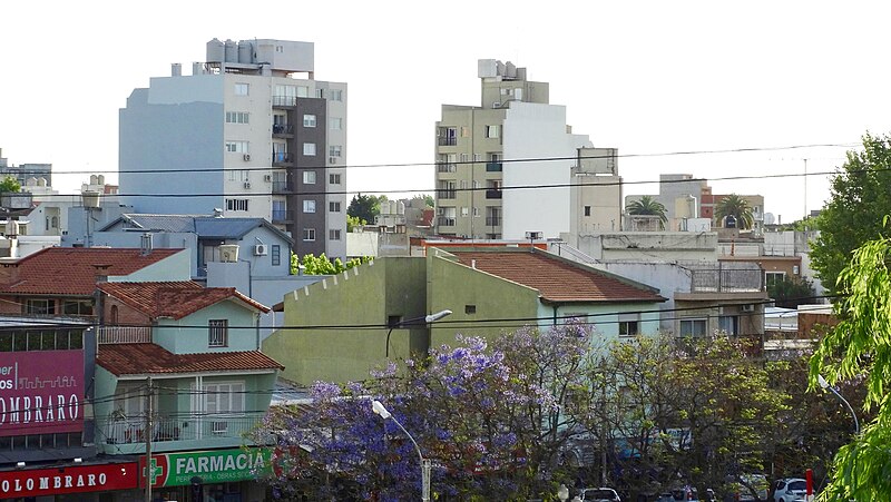 Archivo:Skyline Palomar.jpg