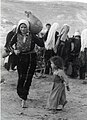 Palestinian woman, a child and a jug[citation needed]