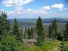 Bayerischer wald1.jpg