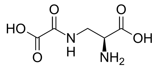 Файл:Beta-oxalylamino-L-alanine.svg