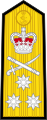 Shoulder board