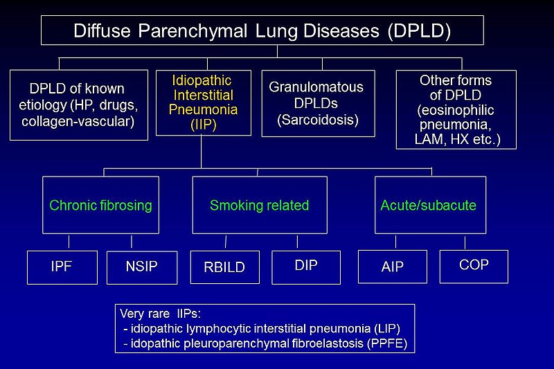 File:Diffuse Parenchymal Lung Diseases.jpg