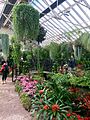 Fitzroy Gardens conservatory (Interior)